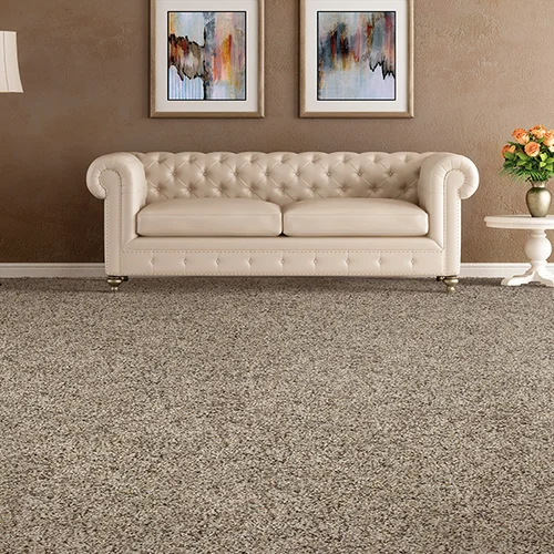 Betro Floorings providing easy stain-resistant pet friendly carpet in  Stevens Point, WI