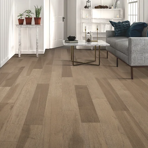 Betro Floorings providing pet-friendly waterproof vinyl flooring in  Stevens Point, WI