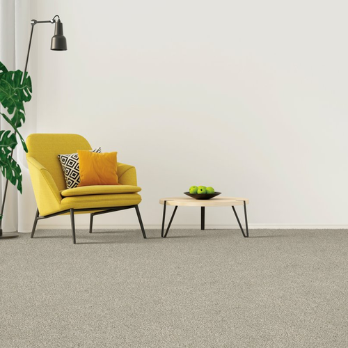 Betro Floorings providing easy stain-resistant pet friendly carpet in  Stevens Point, WI Hl097- 784